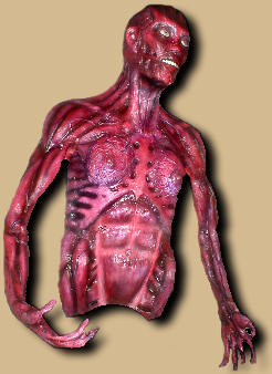 Skinless Body Prop Image 1