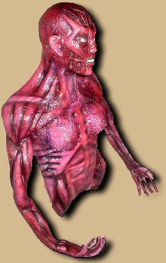 Skinless Body Props Image 2