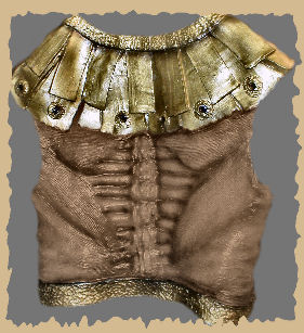 Temple Guard Chest Back